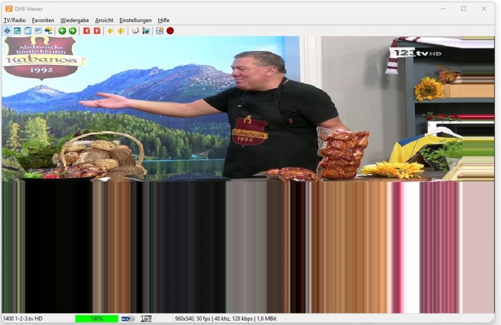dvb-viewer-7-3-0-0-bug.jpg